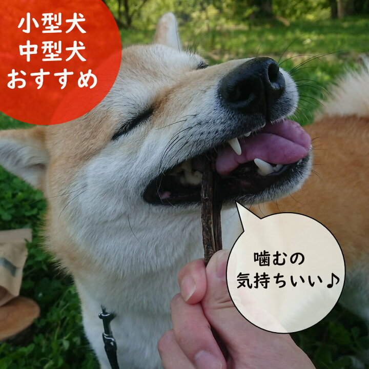 犬用 鹿食道ジャーキー 長持ち犬のおやつ 25g 唾液分泌デンタルケア 無添加 鹿 ドックフード 犬のおやつ 部位 ペット用長持ちおやつ