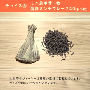 yY Y W[L[z~jb@W[L[ `CXZbg Y  {[ W[L[  K Y  K W[L[  hbNt[h Y ^ ^ f