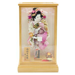 Hq P[X H 10 D hJlGڂ 44cm  OP[X (2024-ys164) P[X  ߋ j