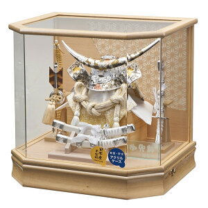 ܌l` P[X芕 ͂ 㐙M̊ 38cm Zppm}ANP[X zCgI[N IS[ t 255-724 [߂̐ߋ qǂ̓