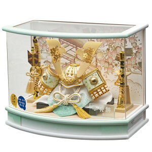 ܌l` P[X芕 ͂  ̑L̊ 43cm R^pXeJ[ANP[X O[ 255-717 [߂̐ߋ qǂ̓