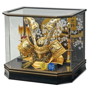 ܌l`P[X芕  グL^̊ 43cm Zppm}ANP[X ubN255-711 [߂̐ߋ qǂ̓