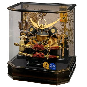 ܌l` P[X芕 ZpE 㐙M̊ 43cm pm}ANP[X ubN IS[ t 265-738 [߂̐ߋ qǂ̓