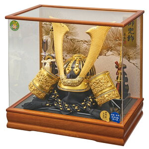 ܌l` P[X蒅p V L^̊ 53cm ANP[X O 255-753 [߂̐ߋ qǂ̓