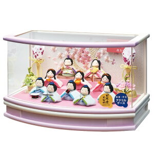 l` P[X ۂĂ k \l 42cm R^ ANP[X Ɏ{JV10l P[X ЂȐl`