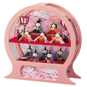 l` P[X   k \l 30cm 苾^P[X ANP[X  IS[10l P[X ЂȐl`