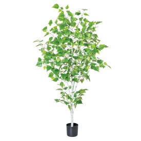 人工観葉植物 バーチツリー （ポット付き） グリーン 高さ122cm （P284-a50857) （代引き不可） インテリアグリーン フェイクグリーン