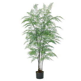 人工観葉植物 ファーン （ポット付き） グリーン 高さ145cm （P293-a50931) （代引き不可） インテリアグリーン フェイクグリーン
