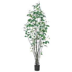 人工観葉植物 バーチツリー （ポット付き） グリーン 高さ180cm （P284-a50939) （代引き不可） インテリアグリーン フェイクグリーン