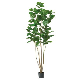 人工観葉植物 ウンベラータ （ポット付き） グリーン 高さ220cm （P277-a51029) （代引き不可） インテリアグリーン フェイクグリーン