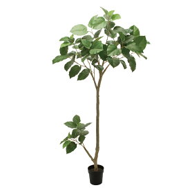 人工観葉植物 ウンベラータグランデ ポット 高さ210cm （P195-fg307774) （代引き不可） インテリアグリーン フェイクグリーン