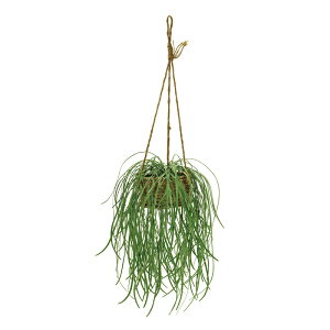 �l�H�ϗt�A�� �Z���o�O���X �n���M���O�|�b�g ����45cm �iP188-fz1622) �i������s�j �C���e���A�O���[�� �t�F�C�N�O���[��