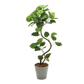人工観葉植物 ウンベラータ スパイラル プランター入り 高さ160cm （P206-mgf5229) （代引き不可） インテリアグリーン フェイクグリーン