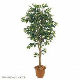 人工観葉植物 ベンジャミンフィカス 150cm 高さ150cm （P207-sk1025) （代引き不可） インテリアグリーン フェイクグリーン