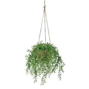 �l�H�ϗt�A�� �x�r�[�e�B�A�[�Y �n���M���O ����30cm �iP188-zv133) �i������s�j �C���e���A�O���[�� �t�F�C�N�O���[��