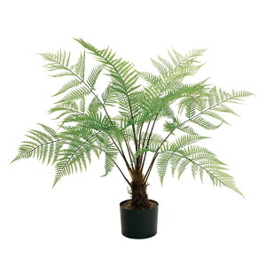 lHϗtA uCgt@[ |bg G}H 70cm iP193-zv293) isj CeAO[ tFCNO[