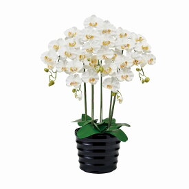 フェイクグリーン ピュアオーキッド5本立（ファレノ） クリームホワイト 光触媒加工 高さ72cm （P217-zv6500b-1) （代引き不可） 造花 胡蝶蘭