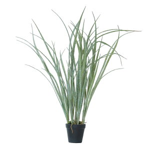 lHϗtA OX |bg 65i1j991051 I[igOX ȕTCY CeA tFCNO[  POT INDOOR ip77j