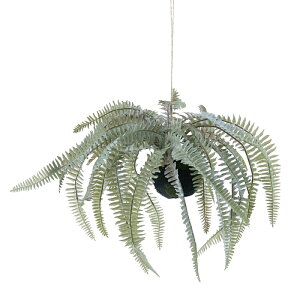 lHϗtA {Xgt@[ nMO{[ 30i1j991631 ݂邵^Cv nLOO[ CeA tFCNO[  HANGING ip127j