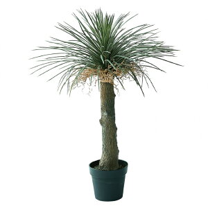 lHϗtA bJ Xg[^ |bg 94i1j991830 ؃|bg rOAxeTCY CeA tFCNO[  GARDEN PLANT ip89j