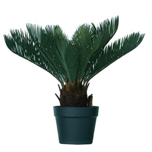 lHϗtA \ec |bg 43i1j991881 ϗtA A^̏uTCY CeA tFCNO[  POT INDOOR ip91j