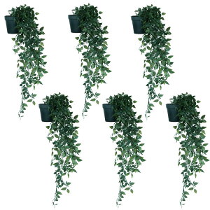 lHϗtA tBJXVO |bg 74i6j991940 ϗtA ȕTCY CeA tFCNO[  POT INDOOR ip72j