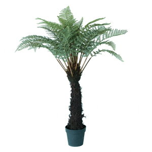 lHϗtA fBN\jA |bg 122i1j992011 V_A rOAItBXTCY CeA tFCNO[  GARDEN PLANT ip55j