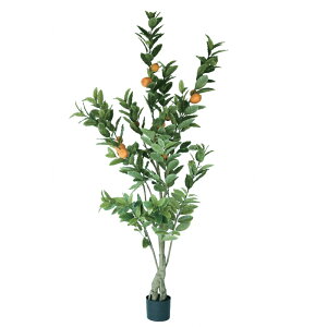 lHϗtA ̖ |bg 183i1j992120 ؃|bg ցALԃTCY CeA tFCNO[  GARDEN PLANT ip16j