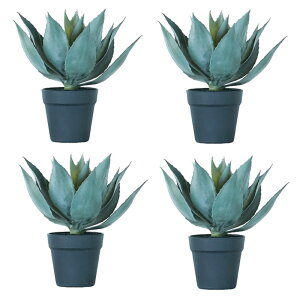 lHϗtA AKx |bg 32i4j992180 A A^̏uTCY CeA tFCNO[  POT SUCCULENT ip95j