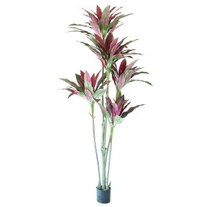 lHϗtA hZi |bg 180 p[vi1j992321 ؃|bg ցALԃTCY CeA tFCNO[ GARDEN PLANT ip61j