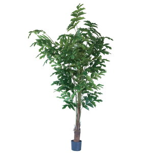 lHϗtA NWNV |bg 210i1j992351 ؃|bg ցALԃTCY CeA tFCNO[  GARDEN PLANT ip45j