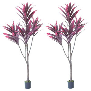 lHϗtA hZi |bg 150 p[vi2j992390 ؃|bg ցALԃTCY CeA tFCNO[ GARDEN PLANT ip61j