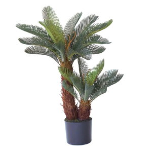 lHϗtA \ec |bg 86i1j992431 ؃|bg ȕTCY CeA tFCNO[  GARDEN PLANT ip91j