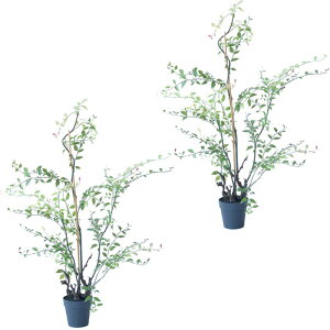 lHϗtA Cx[ |bg 105i2j992510 ؃|bg rOAxeTCY CeA tFCNO[ GARDEN PLANT ip23j