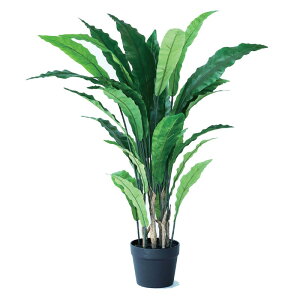 lHϗtA AXvjE |bg 90i1j992611 ϗtA A^̏uTCY CeA tFCNO[ POT INDOOR ip69j