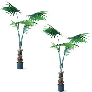 lHϗtA V`N |bg 120i2j992630 ϗtA rOAItBXTCY CeA tFCNO[ GARDEN PLANT ip47j