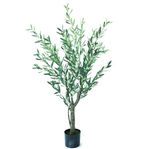 lHϗtA I[u |bg 150i1j992641 ؃|bg ցALԃTCY CeA tFCNO[  GARDEN PLANT ip11j