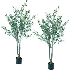 lHϗtA I[u |bg 180i2j992650 ؃|bg ցALԃTCY CeA tFCNO[  GARDEN PLANT ip11j