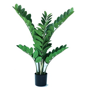 lHϗtA U~INJX |bg 70i1j992751 ϗtA ȕTCY CeA tFCNO[  POT INDOOR ip71j