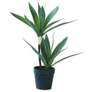 lHϗtA bJ |bg 38i1j992961 ؃|bg A^̏uTCY CeA tFCNO[  POT INDOOR ip87j