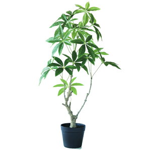 lHϗtA pL |bg 90i1j993090 ؃|bg ȕTCY CeA tFCNO[ GARDEN PLANT ip65j