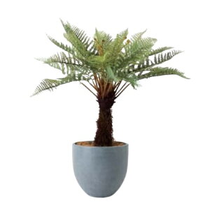 lHϗtA tZbg Eh|bgiOCj /fBN\jAi1Zbgjbs015h vXX^C rOAItBXTCY CeA tFCNO[  BROWN+style ip173j