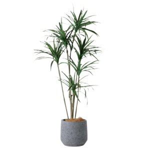 lHϗtA tZbg x|bgieXg[j /bJi1Zbgjbs019h vXX^C ցALԃTCY CeA tFCNO[  BROWN+style ip175j