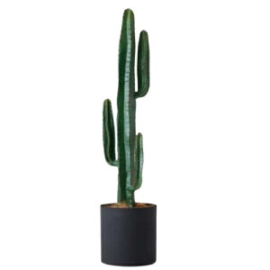 lHϗtA tZbg X`[|bgiubNj /T{ei1Zbgjbs022k vXX^C ցALԃTCY CeA tFCNO[  BROWN+style ip178j