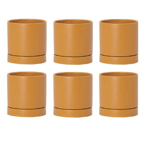 ԁEϗtAp|bg I[Z 11 Y Ceramic POT i6j 19011 ꌊ Mt isj ^|bg v^[ FARM (p77)