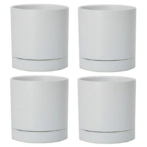 ԁEϗtAp|bg I[Z 15 W Ceramic POT i4j 19015 ꌊ Mt isj ^|bg v^[ FARM (p75)