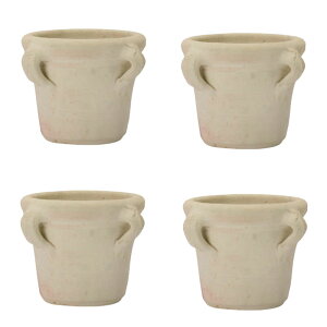 ԁEϗtAp|bg `jWA C Teracotta POT i4j 15024 ꌊ MȂ isj ^|bg FARM (p123)