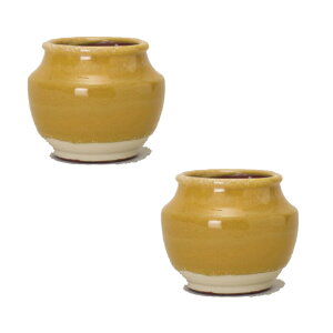 ԁEϗtAp|bg VJ 14 Y Ceramic POT i2j 71116 ꌊȂ ^Cv isj ^Jo[ FARM (p14)