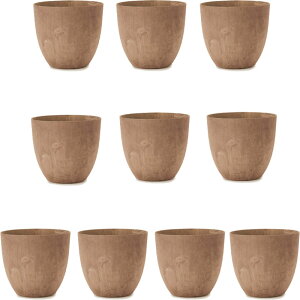 ԁEϗtAp|bg A[gXg[ Eh XS 23 uEi10jar-002c23e [KTp261] ^|bg isjzeEItBXrEX GNXeA CeA