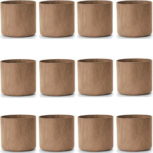 ԁEϗtAp|bg A[gXg[ V_[ R S 13 uEi12jar-003c13e [KTp259] ^|bg isjzeEItBXrEX GNXeA CeA